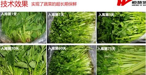 果蔬肉食儲(chǔ)藏解決方案(圖2)