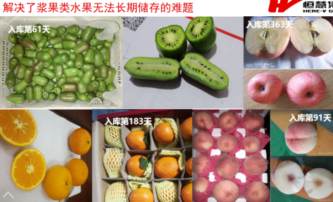 果蔬肉食儲(chǔ)藏解決方案(圖3)